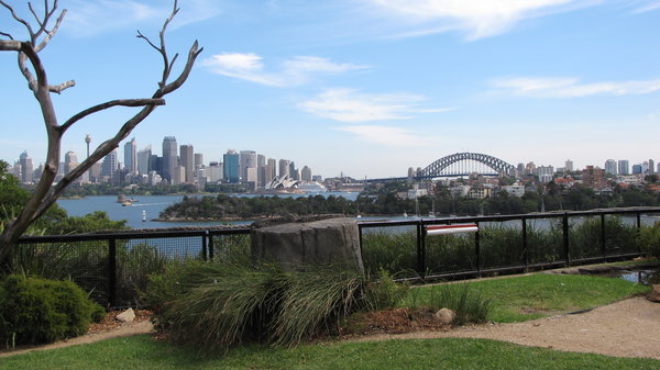 A view of Sydney