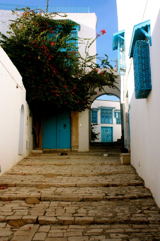 Tunisia Photo 12