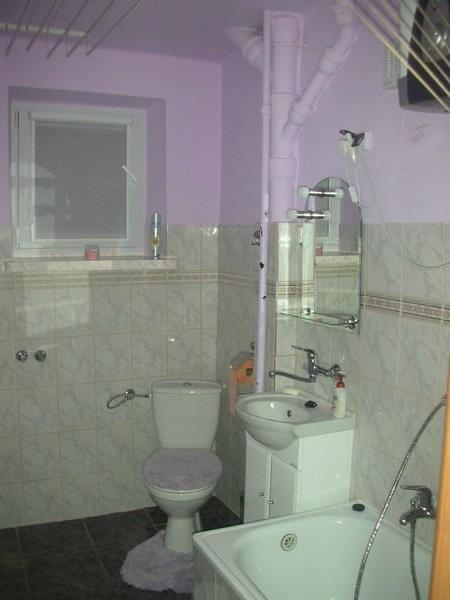Marios wicked purple bathroom