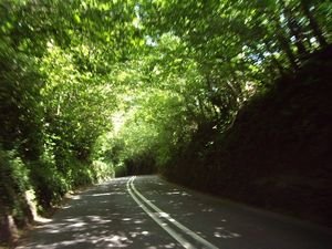 Winding devonshire roads