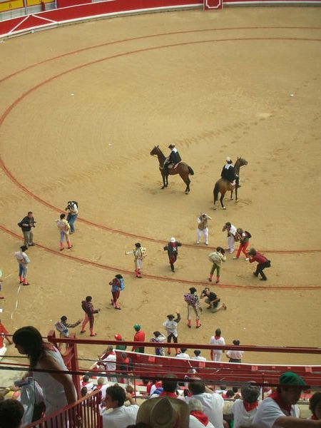 Bull fight Procession
