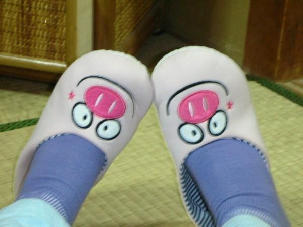 Amy's slippers