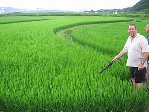 Dad in the Rice Paddies