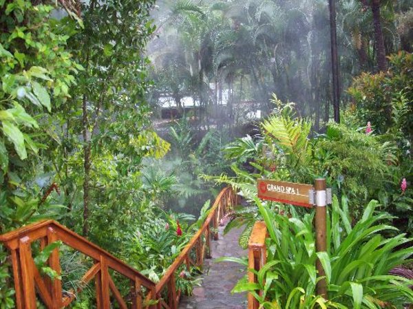 Tabacon arenal resort and spa