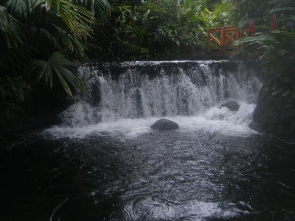 Tabacon arenal rsort and spa