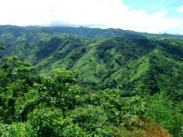 MONTEVERDE