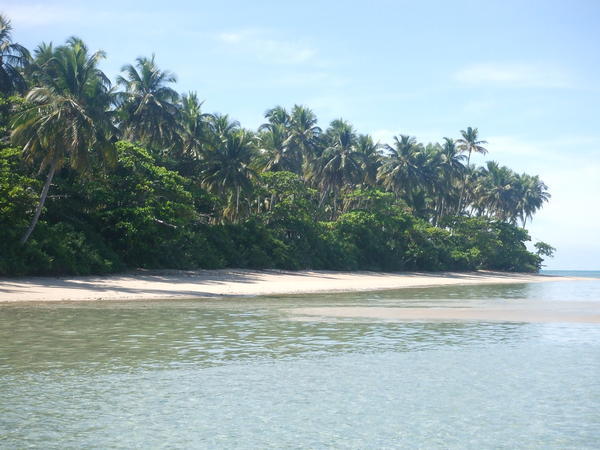 Palm fringed beach 