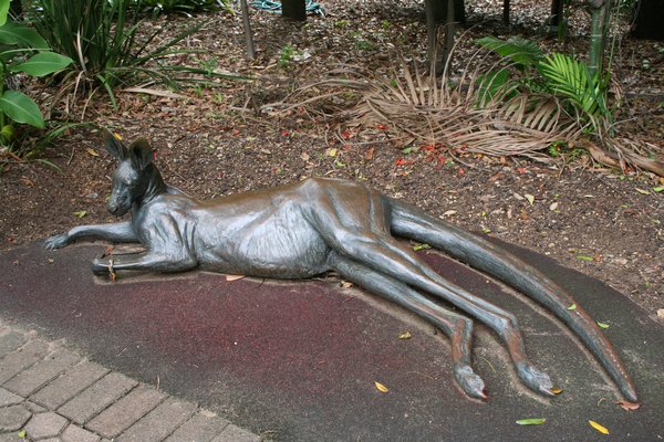 Bronze Roo in the Botanical gardens, Brisbane