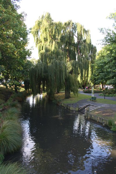 Avon river Christchurch