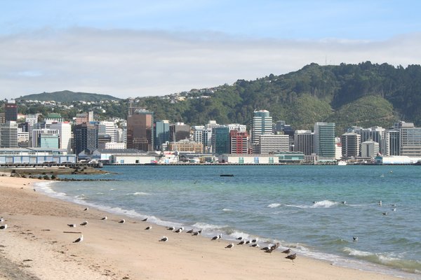 Looking across to the city from Oriental Bay, Wellington
