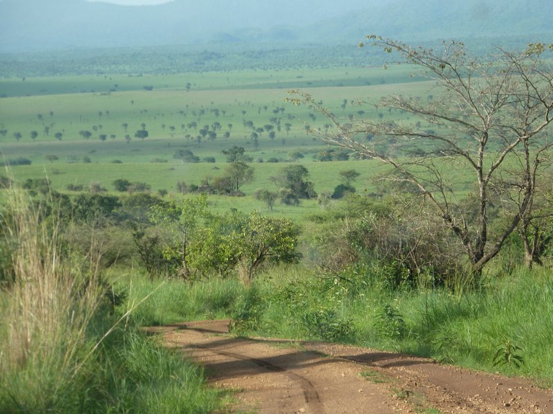 Our first glimpse of the Kidepo Valley
