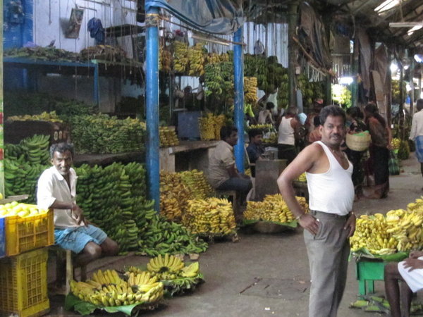 A whole ROW of bananas for sale in the market