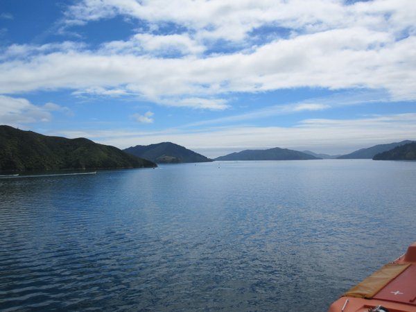 coming into Picton on the south island