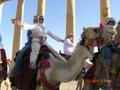 Camel Riding 4
