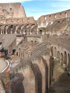 The Coliseum 5
