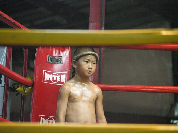Thai Boxing in Miniature