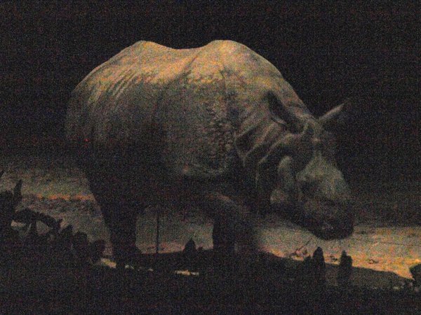 Rhino at the Night Zoo