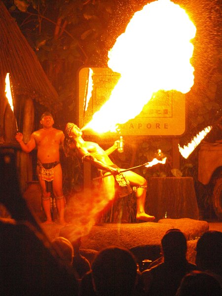 Fire Eaters at the Night Zoo