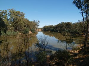 View from Van - Murray River Camp