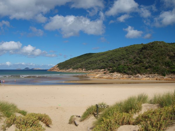 Beach by our Site - Tidal River