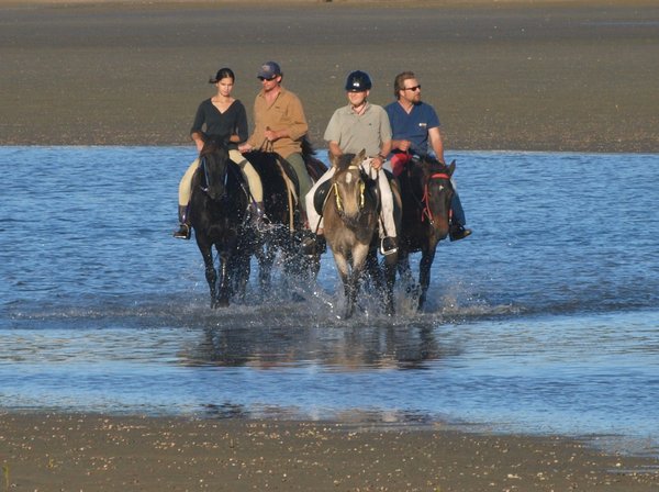Horse Riding in the Estuary
