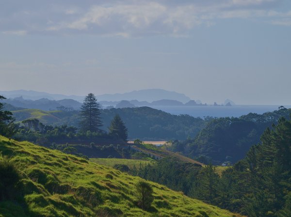 Looking Over the Bay of Islands