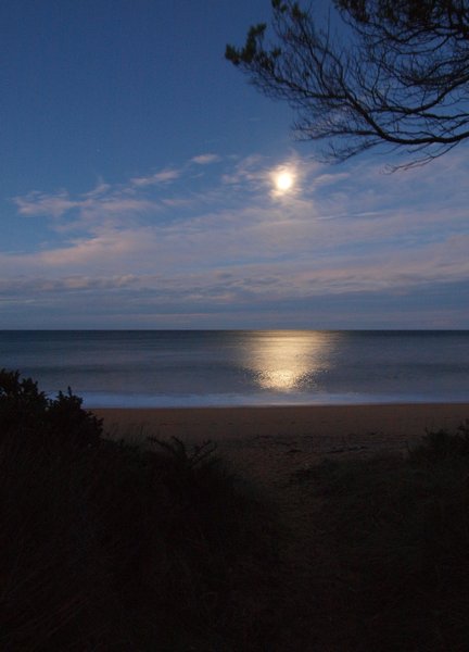 Moon Rising over Abel Tasman