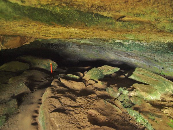 Punakaika Cavern