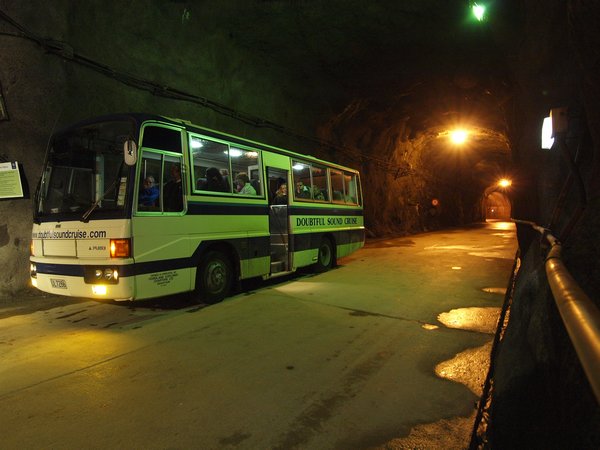 Tour Bus 100m Down in Access Tunnel