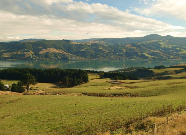Otago Peninsula (2)