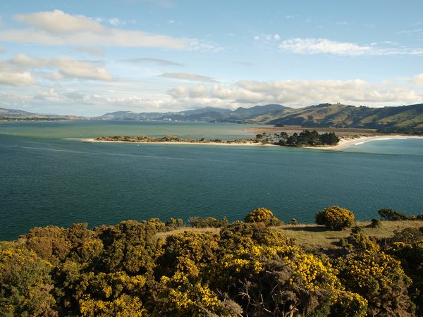 Otago Peninsula (3)