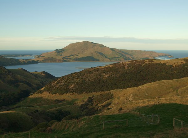 Otago Peninsula (4)