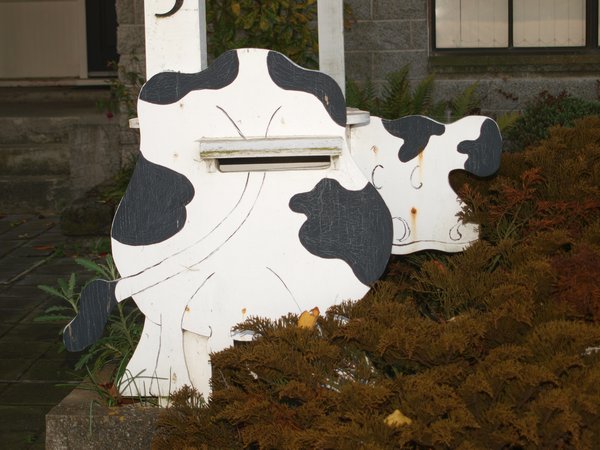 Cow Letterbox