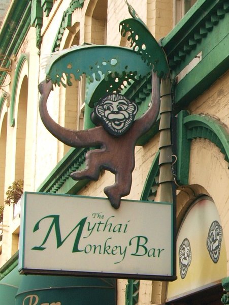 Monkey Boy!
