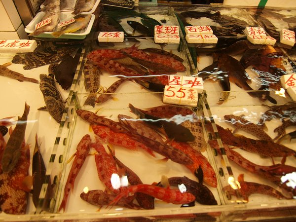Fish Market 3
