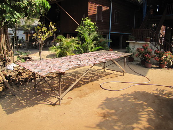 a table of fresh fish drying in the sun