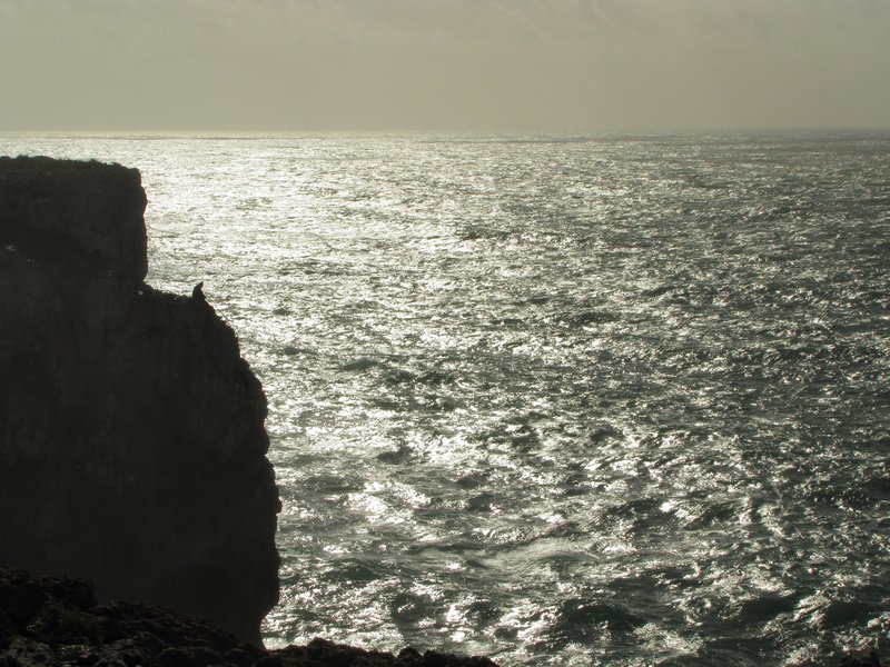 fisherman perched on the cliffs