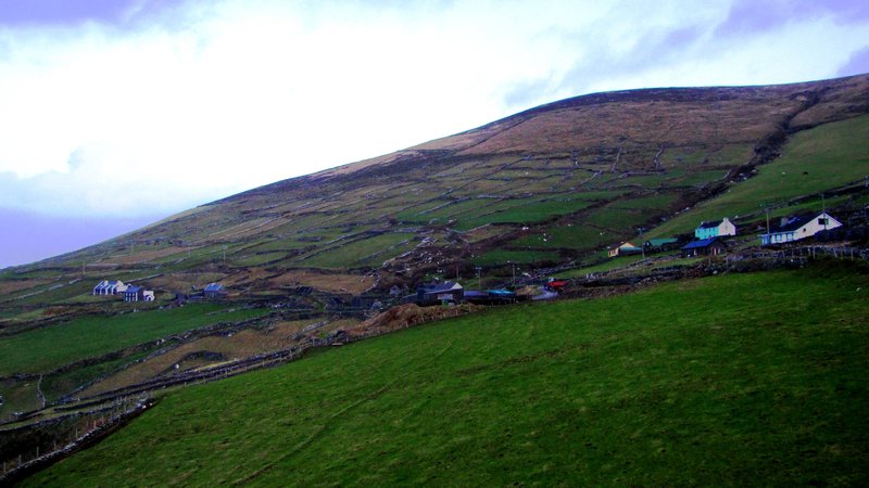 the hard-fought fields of the Dingle Peninsula