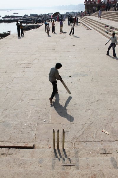 Cricket on the Ghats