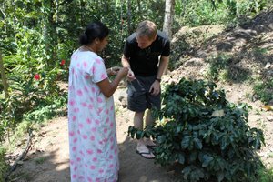Tour of the spice plantation - this time looking at coffee beans