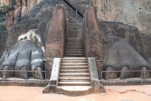 Lion's Paws, Sigiriya
