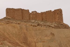 The citadel in Palmyra