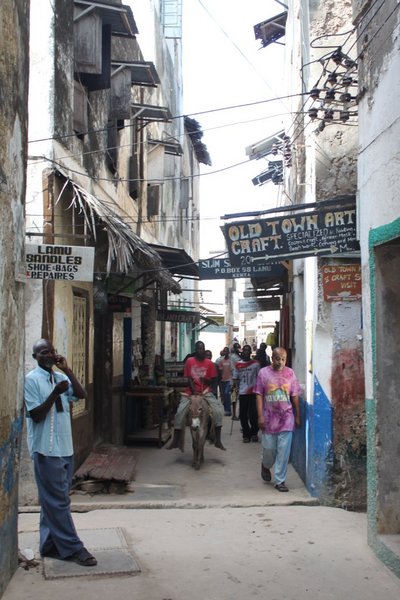 The narrow streets of Lamu