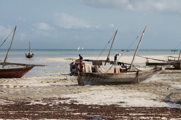 The dhows stranded at low tide in Zanzibar