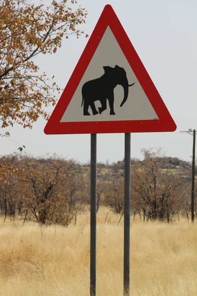 Warning elephants crossing