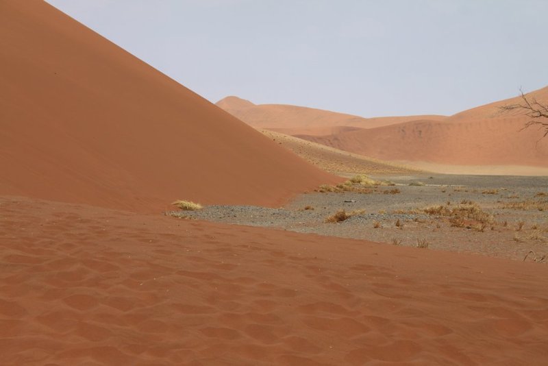 The dune landscape around Dune 45