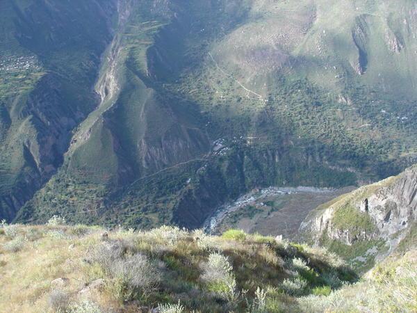 Looking 1000m down into the Canyon
