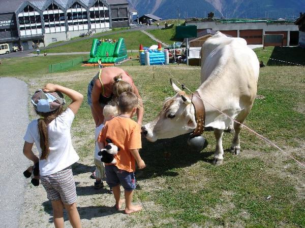 Typical swiss cow with a bell