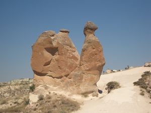 camel rock