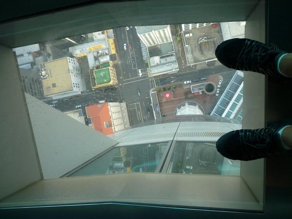 Glass floor in the Sky Tower, Auckland